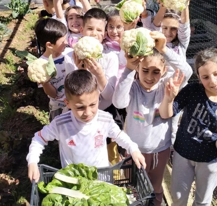 Sostenibilidad y Conciencia